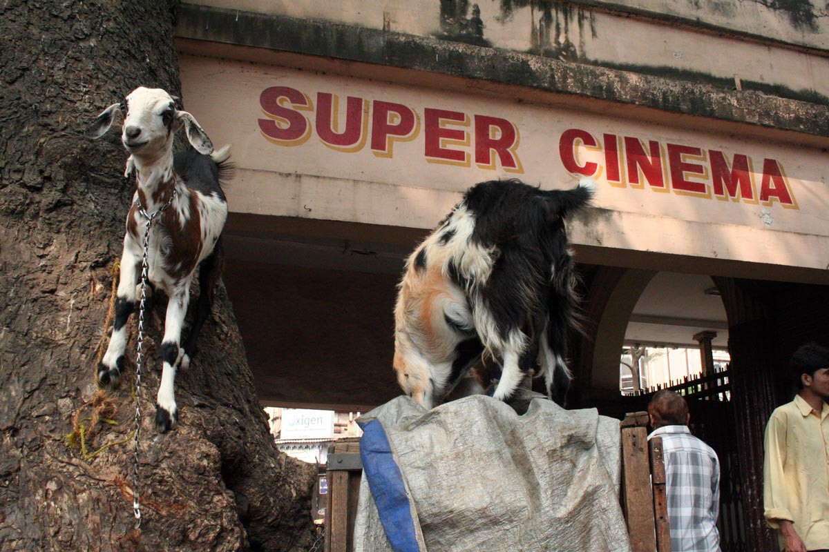 <span style="color:white">Super Cinema, Mumbai, 2007</span>